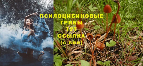 прущая мука Кинешма