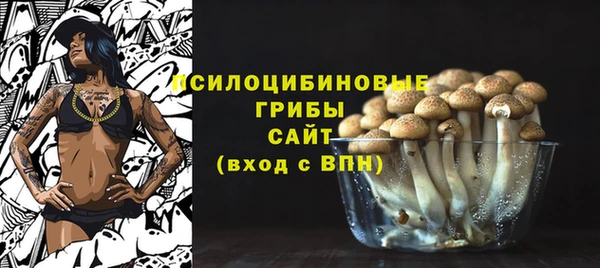 прущие крисы Киреевск